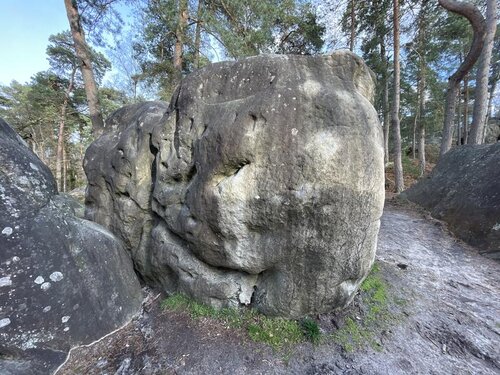 Image of L'Œuf de Colombe (assis) (6c)
